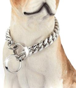 img 4 attached to 🐶 ToBeTrendy Heavy Duty Cuban Link Dog Collar - Silver Stainless Steel Chain Links 14MM - Ideal for Medium to Large Dogs - 16inches to 26inches