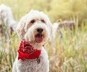 img 2 attached to 🐶 Large Washable Triangle Shape Plain Cotton Bandana Set for Dogs - 3 Pieces