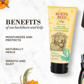 img 1 attached to Burts Bees Высокоувлажняющее средство с облепиховым маслом для восстановления