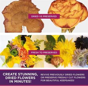 img 2 attached to 🌸 Preserve Nature's Beauty: Flower Drying Kit with Press Boards, Quick-Dry Papers, Clips, Cord, Spray, and Shaping Tweezers