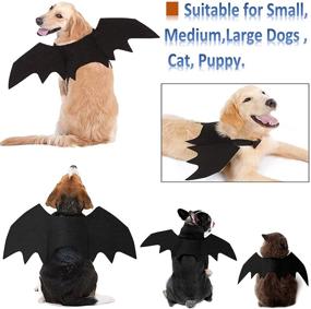 img 3 attached to CAISANG Halloween Dog Bat Costume Wings - Pet Bat Wings for Small, Medium, and Large Dogs, Funny Cat and Dog Apparel, Cosplay Clothes, Cool Dog Outfits