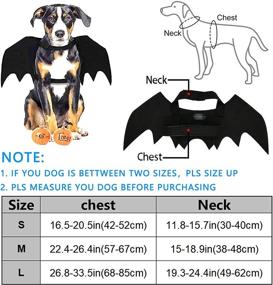 img 2 attached to CAISANG Halloween Dog Bat Costume Wings - Pet Bat Wings for Small, Medium, and Large Dogs, Funny Cat and Dog Apparel, Cosplay Clothes, Cool Dog Outfits