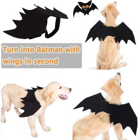 img 1 attached to CAISANG Halloween Dog Bat Costume Wings - Pet Bat Wings for Small, Medium, and Large Dogs, Funny Cat and Dog Apparel, Cosplay Clothes, Cool Dog Outfits