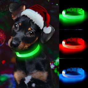 img 3 attached to 🐱 Vizpet LED Cat Dog Collar - USB Rechargeable & XS Adjustable Size Nylon Collar - Bright Safety Pet Collar for Small Cats & Dogs - Enhanced SEO