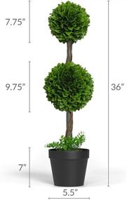 img 2 attached to 🌿 Artificial Boxwood Topiary Ball Tree 36-inch - Front Porch Home Decor, Fake Plant Decoration, Faux Indoor Tree - Single Tree