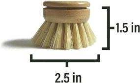 img 3 attached to 🌿 Renewable Bamboo Wood and Natural Bristle Replacement Heads for Larga Vitae Wooden Dish Brush - Durable, Long Lasting, All Purpose Kitchen Scrubber (6 pcs)