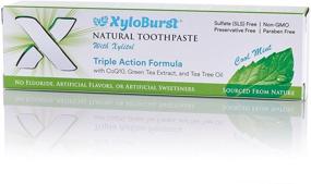 img 1 attached to 🦷 Xyloburst Fluoride-Free Xylitol Toothpaste with CoQ10 Cool Mint - Natural, SLS-Free, Paraben Free, Cruelty Free, 4 Ounce Tube Made in The USA (1 Tube)