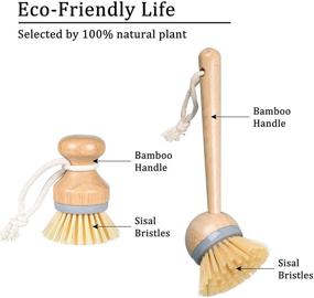 img 2 attached to 🎋 Bamboo Dish Brush Set: Eco-Friendly Kitchen Palm Scrub Brush with Fiber Bristle - 2589-Z2