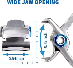 img 3 attached to 💪 EBEWANLI Wide Jaw Opening Toenail Clippers - 17mm for Thick Nails, Extra Large Nail Clippers for Men and Seniors, Stainless Steel Wide Mouth Toenail Clippers