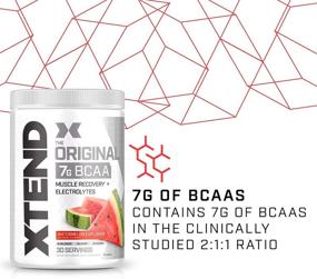 img 2 attached to 🍉 XTEND Original BCAA Powder - Watermelon Explosion Flavor | Sugar-Free Post-Workout Drink with Amino Acids | 7g BCAAs for Men & Women | 30 Servings