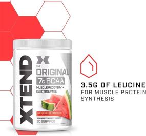 img 1 attached to 🍉 XTEND Original BCAA Powder - Watermelon Explosion Flavor | Sugar-Free Post-Workout Drink with Amino Acids | 7g BCAAs for Men & Women | 30 Servings