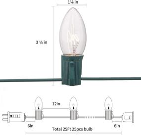 img 3 attached to Romasaty C7 Christmas Lights - 25FT, 5 Multi-Color Outdoor & Indoor Holiday Party Wedding Lights, 25 Ceramic Bulb C7 Light with 2 Extra Bulbs and Green Wire