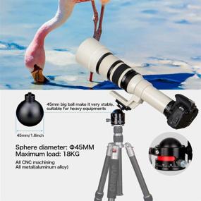 img 1 attached to 📷 Koolehaoda Low-Profile Ballhead: 360° Panoramic Metal Tripod Head for DSLR, Maximum Load 15KG/33Ibs (E3)