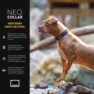 🐶 neo collar by ezydog logo