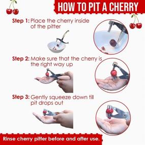 img 1 attached to 🍒 ProTensils Premium Cherry Pitter Stoner - Heavy Duty Tool for Effortless Pitting, Quality Finish (Silver)