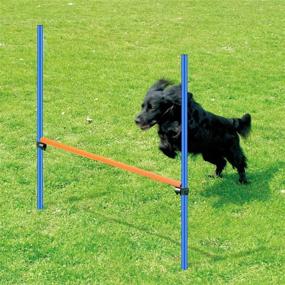 img 1 attached to 🐶 PAWISE Adjustable Height Dog Agility Exercise Training Equipment - Pet Jumping Ring & Obstacle Course for Interactive Dog Training - Enhance your Dog's Skills with Interactive Toys