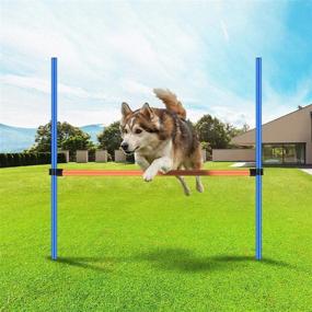 img 3 attached to 🐶 PAWISE Adjustable Height Dog Agility Exercise Training Equipment - Pet Jumping Ring & Obstacle Course for Interactive Dog Training - Enhance your Dog's Skills with Interactive Toys