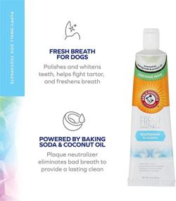 img 2 attached to 🐶 Arm & Hammer Fresh Spectrum Baking Soda Dog Toothpaste - Coconut Mint Scent for Adult Dogs and Puppies - Fight Tartar, Whitening Teeth, and Freshening Breath, 2 oz