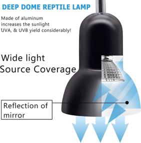 img 2 attached to 🦎 Reptile Heat Lamp: UVA UVB Basking Spot Light for Aquatic Turtles, Tortoise, Snakes, Lizards - 3 Heat Bulbs Included