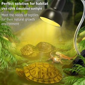 img 3 attached to 🦎 Reptile Heat Lamp: UVA UVB Basking Spot Light for Aquatic Turtles, Tortoise, Snakes, Lizards - 3 Heat Bulbs Included