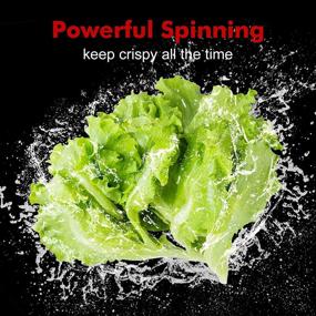 img 2 attached to 🥗 Efficient Large 5L Salad Spinner: Quick Drying, Easy to Clean | Ideal for Vegetables & Fruits | BPA Free & Dishwasher Safe | 4.5 Quart Capacity