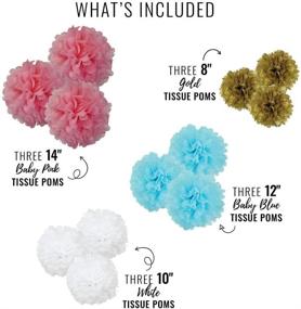 img 1 attached to 🌸 Just Artifacts 12pcs Assorted Hanging Tissue Paper Pom Pom Flowers for Gender Reveal Celebration