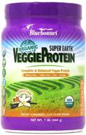 bluebonnet nutrition super earth organic veggie protein powder: soy free, gluten free, kosher, non-gmo, vegan, usda organic - vanilla chai flavor, 1 lb, 15 servings with no sugar added logo