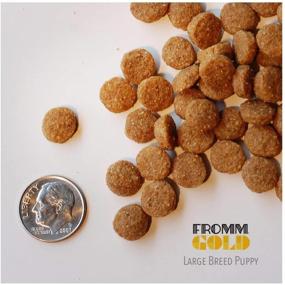 img 1 attached to 🐶 Gold Large Breed Puppy Dry Food by Fromm Family Foods (5 lb)