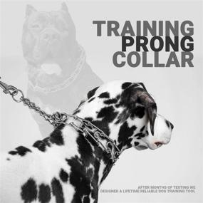 img 1 attached to 🐶 Enhanced Comfort and Control: Mayerzon Dog Prong Collar with Comfort Tips - Stainless Steel Choke Pinch Dog Chain Collar, 5-Inch