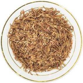 img 1 attached to 🍽️ Delicious 8oz Appetizing Mealworms with Dried River Shrimp - All Natural, Non-GMO Surf & Turf for Chicken, Fish, Ducks, Wild Birds, Turtles, Hamsters, Fish, and Hedgehogs