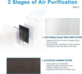 img 3 attached to 🌬️ Flintar C545 True HEPA Replacement Filter S for Winix C545 Air Purifier - Replaces Winix S Filter 1712-0096-00: H13 Grade HEPA Filter + Activated Carbon Filters (1-Set)