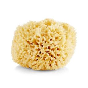 img 4 attached to Baudelaire Caribbean Wool Sea Sponge, 5.5 Inches - Individual Piece