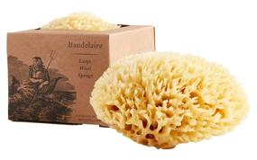 img 1 attached to Baudelaire Caribbean Wool Sea Sponge, 5.5 Inches - Individual Piece