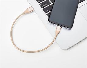 img 2 attached to 🔌 Amazon Basics Быстрая зарядка USB-C на USB-A 2.0 кабель - 1 фут, золотой, двойной оплетка нейлона, 3А