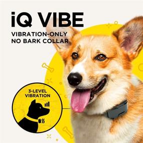 img 3 attached to 🐶 Dogtra IQ Vibe Vibration No Bark Collar - Rechargeable & Waterproof for Small-Medium Dogs with High-Performance Pager & Bonus Training Clicker