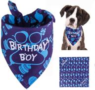 tcboying birthday bandana adjustable square dogs логотип