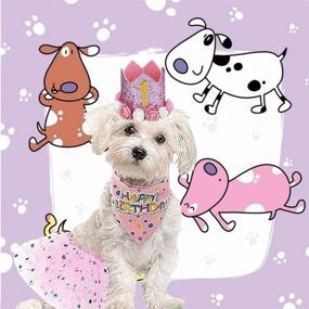 img 1 attached to 🐶 Falwela Dog Birthday Party Supplies: Scarf Hat, Tutu Skirt, Crown, Bow Tie and Triangle Scarf Banner - Celebrate Your Pet's Special Day!