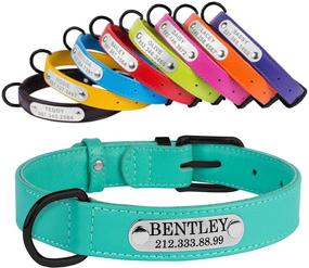 img 1 attached to 🐶 CollarDirect Leather Dog Collar: Soft Padded Pet Collar in 12 Vibrant Colors for Small, Medium, and Large Puppies - Green, Black, Pink, White, Red, Blue, and Purple