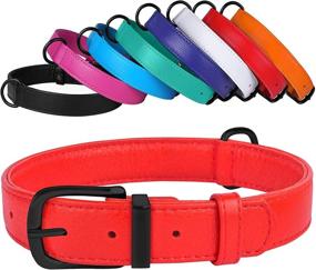 img 4 attached to 🐶 CollarDirect Leather Dog Collar: Soft Padded Pet Collar in 12 Vibrant Colors for Small, Medium, and Large Puppies - Green, Black, Pink, White, Red, Blue, and Purple