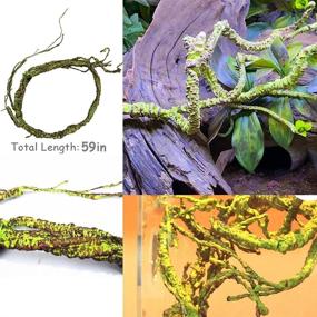 img 2 attached to 🦎 Flexible 9.8FT Reptile Leaves with Suction Cups - Hamiledyi Lizard Habitat Decor for Gecko, Snakes, Chameleon, Bearded Dragon - Climbing Jungle Vines