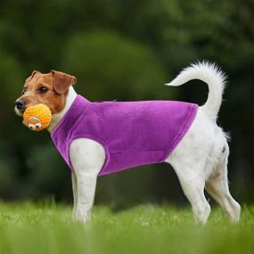 img 1 attached to 🐶 Small Dog Fleece Jacket Set with Leash Ring - Winter Sweater and Vest Combo