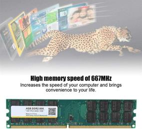 img 3 attached to 💡Высокопроизводительная память DDR2: 4G 800МГц 240-контактная оперативная память для настольных ПК DDR2 PC2-6400 - совместима с материнскими платами AMD