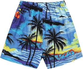 img 1 attached to Hawaiian Aloha Shorts Cabana Sunset Boys' Clothing for Clothing Sets