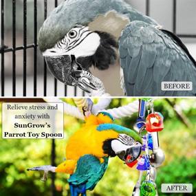 img 2 attached to 🐦 SunGrow Parrot Toy Spoon - 13.7 Inches Long, Vibrant Stainless Steel and Acrylic Cage Décor, Beak Conditioner for Birds with Gentle Beaks, Promotes Bird Mental and Physical Well-being