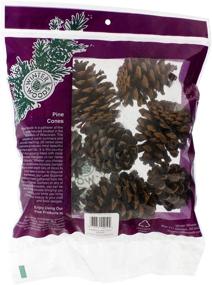 img 1 attached to 🌲 Winter Woods 44019 Natural Ponderosa Pine Cones - Pack of 8