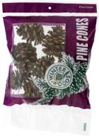 🌲 winter woods 44019 natural ponderosa pine cones - pack of 8 logo