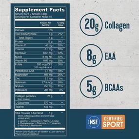 img 3 attached to 🎾 NSF for Sport Certified Vital Performance Recovery Powder with 20g Vital Proteins Collagen, 8g BCAA, and 5g EAA - Guava Lime Flavor