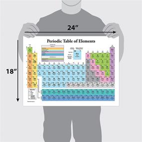 img 3 attached to Laminated Pack of Muscular Periodic Elements