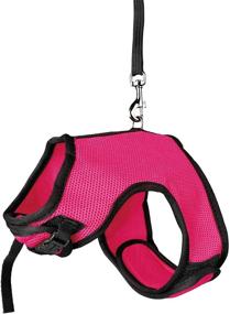 img 2 attached to 🐾 Trixie Pet Product 61512 Soft Harness & Leash Set for Medium-Sized Small Animals