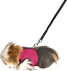 img 3 attached to 🐾 Trixie Pet Product 61512 Soft Harness & Leash Set for Medium-Sized Small Animals